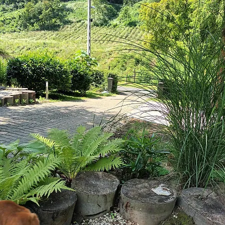 Hanna-bella Guest house Zalakaros